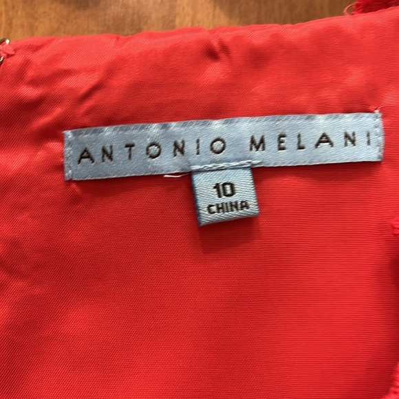 Antonio Melani Fully lined short sleeve dress with lace accents. New with tags. - Picture 2 of 4